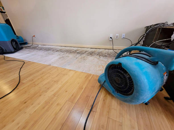 Professional Basement Flood Cleanup technician working in Hoffman Estates, IL